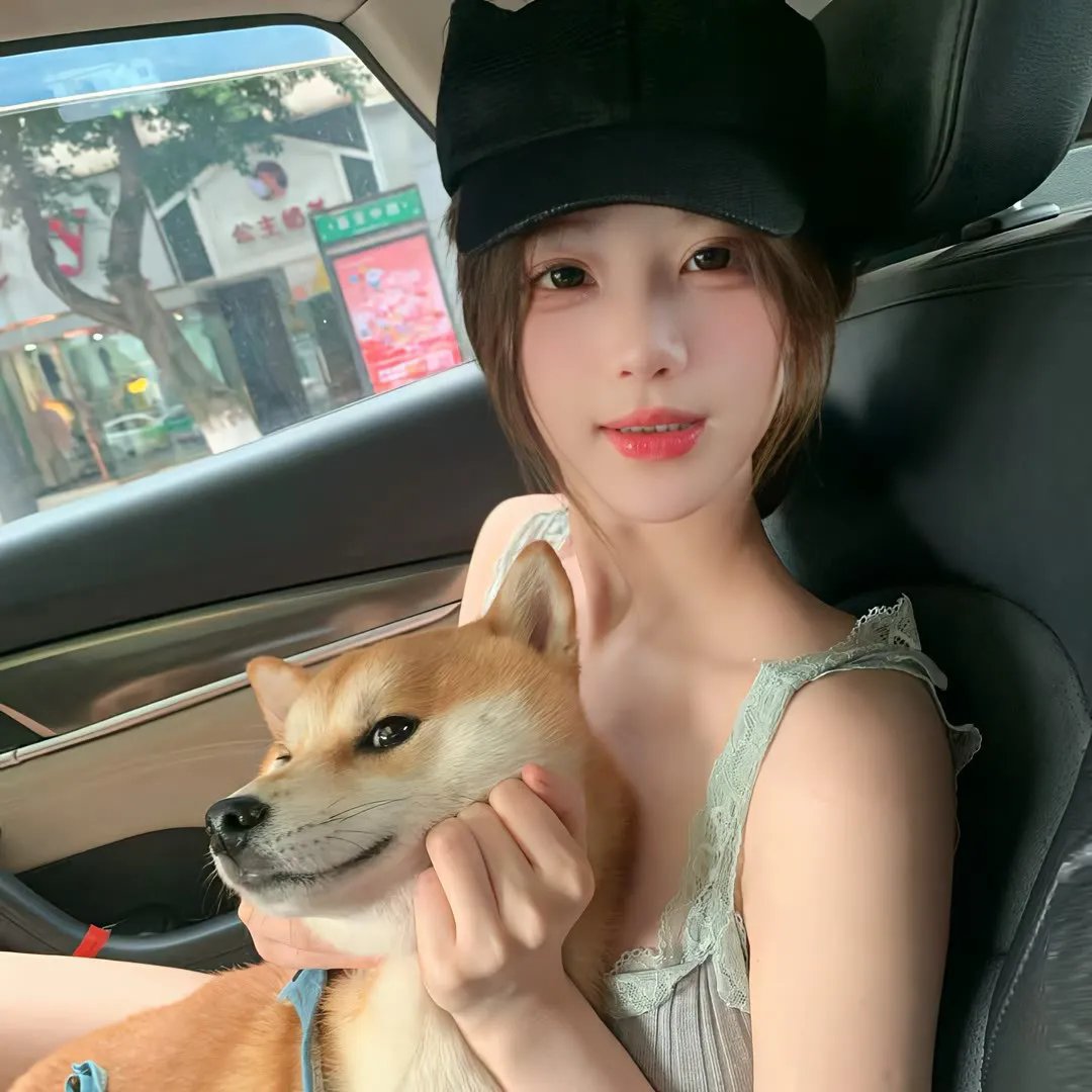 归去来2018